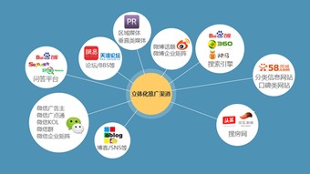 貓頭鷹網站建設工作者必備步驟與網絡技術服務指南